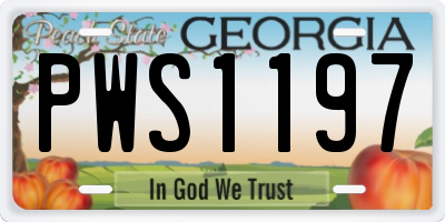 GA license plate PWS1197
