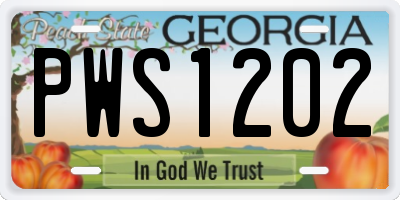 GA license plate PWS1202