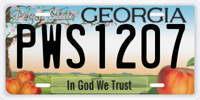 GA license plate PWS1207