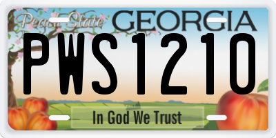 GA license plate PWS1210