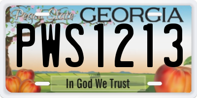 GA license plate PWS1213