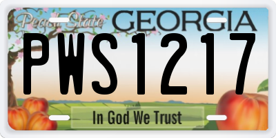 GA license plate PWS1217