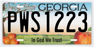 GA license plate PWS1223