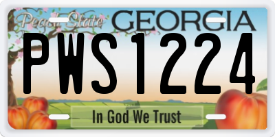 GA license plate PWS1224