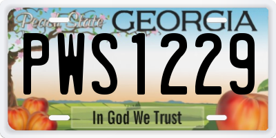 GA license plate PWS1229