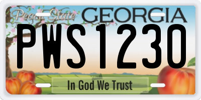 GA license plate PWS1230