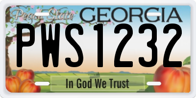 GA license plate PWS1232