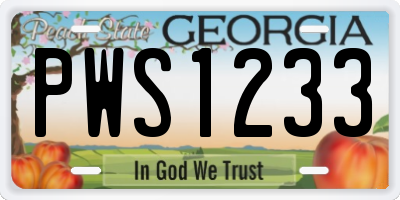 GA license plate PWS1233