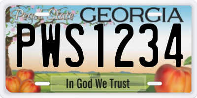 GA license plate PWS1234