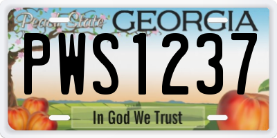 GA license plate PWS1237