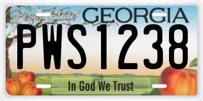 GA license plate PWS1238