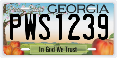 GA license plate PWS1239