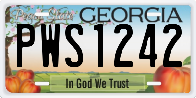 GA license plate PWS1242