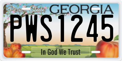 GA license plate PWS1245