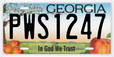 GA license plate PWS1247