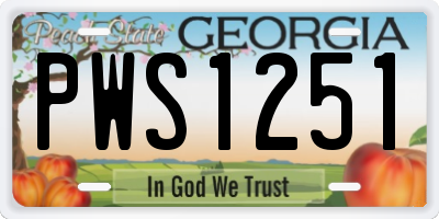 GA license plate PWS1251