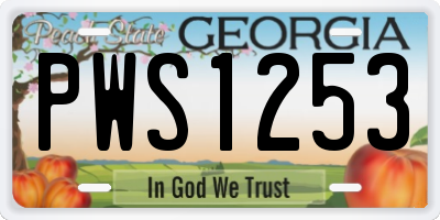 GA license plate PWS1253