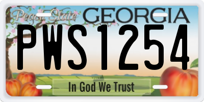 GA license plate PWS1254