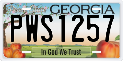 GA license plate PWS1257