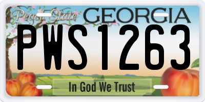 GA license plate PWS1263
