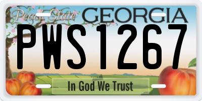 GA license plate PWS1267