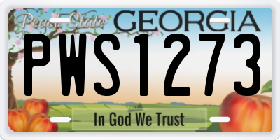 GA license plate PWS1273