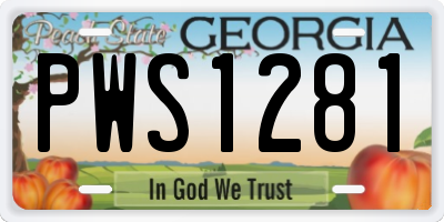 GA license plate PWS1281