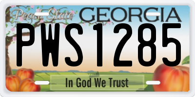 GA license plate PWS1285