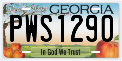 GA license plate PWS1290