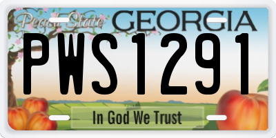 GA license plate PWS1291