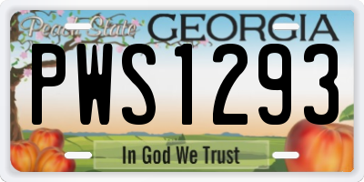 GA license plate PWS1293