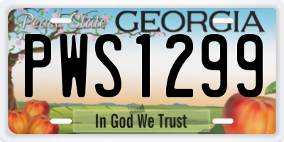 GA license plate PWS1299