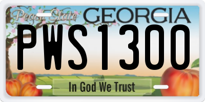 GA license plate PWS1300