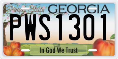 GA license plate PWS1301