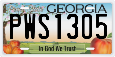 GA license plate PWS1305