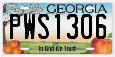 GA license plate PWS1306