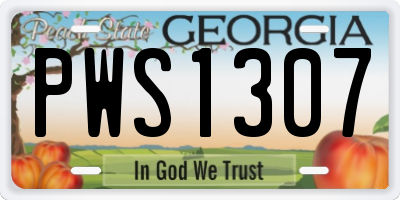 GA license plate PWS1307
