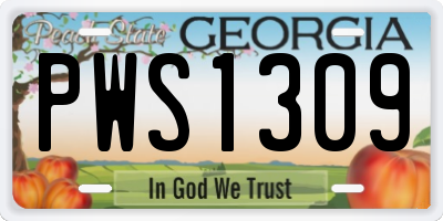 GA license plate PWS1309