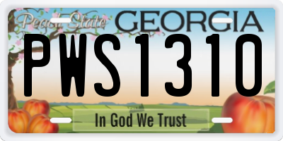 GA license plate PWS1310