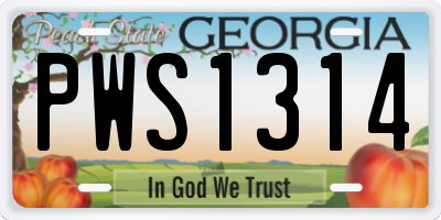 GA license plate PWS1314