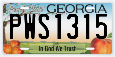 GA license plate PWS1315