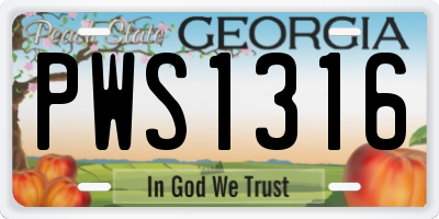 GA license plate PWS1316