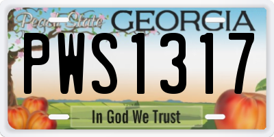 GA license plate PWS1317