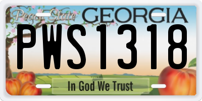 GA license plate PWS1318