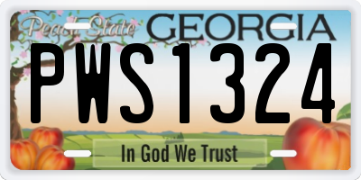 GA license plate PWS1324