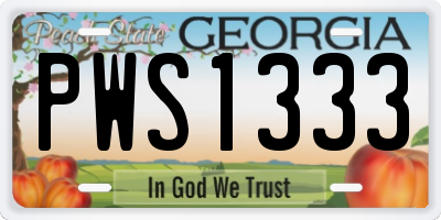 GA license plate PWS1333