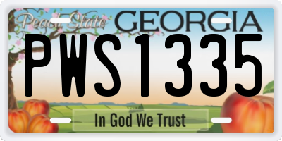 GA license plate PWS1335