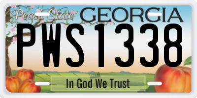 GA license plate PWS1338