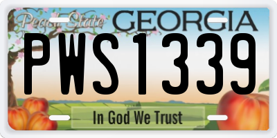 GA license plate PWS1339