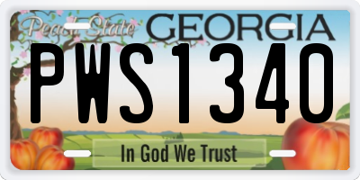 GA license plate PWS1340